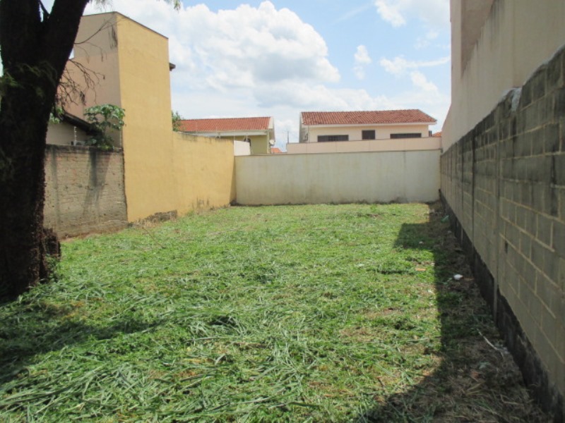 Foto: Ribeirânia Ribeirão Preto/SP